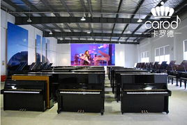 熱烈慶祝卡羅德鋼琴經銷商考察交流會在上海成功舉行 技術服務賦能行業未來